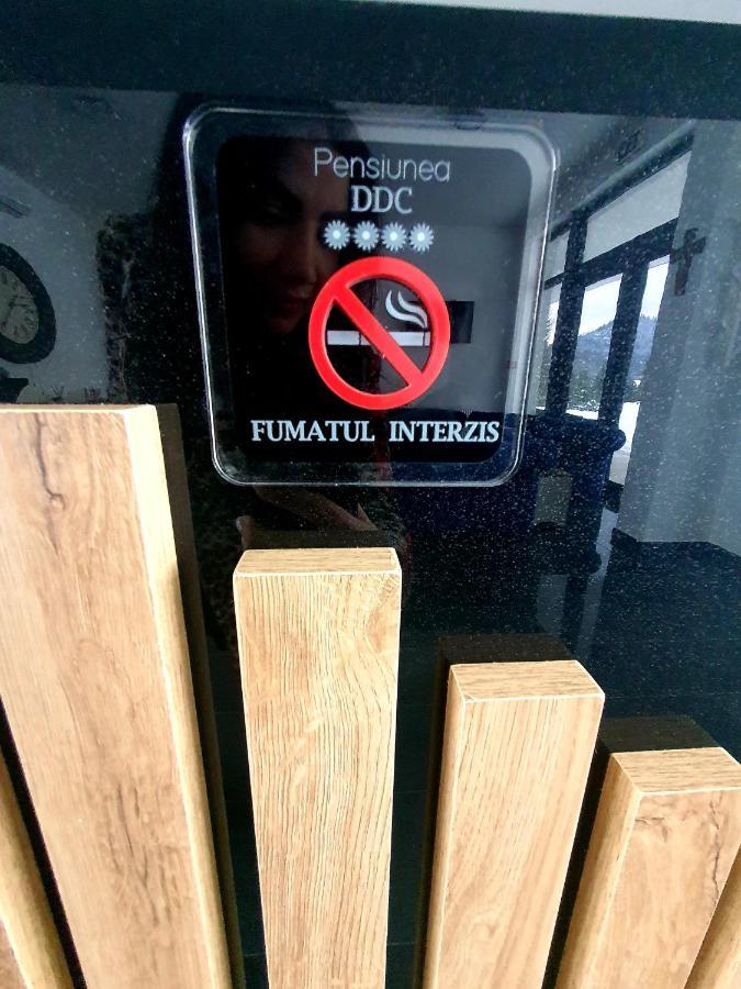 Pensiunea Ddc Colibiţa Екстериор снимка